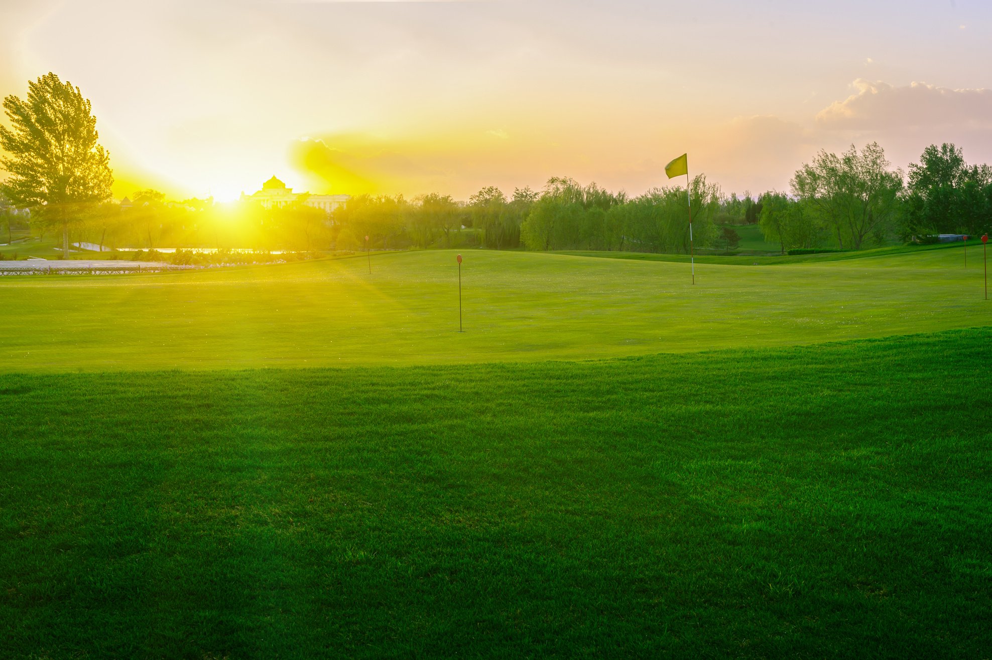 Golf Course back Ground